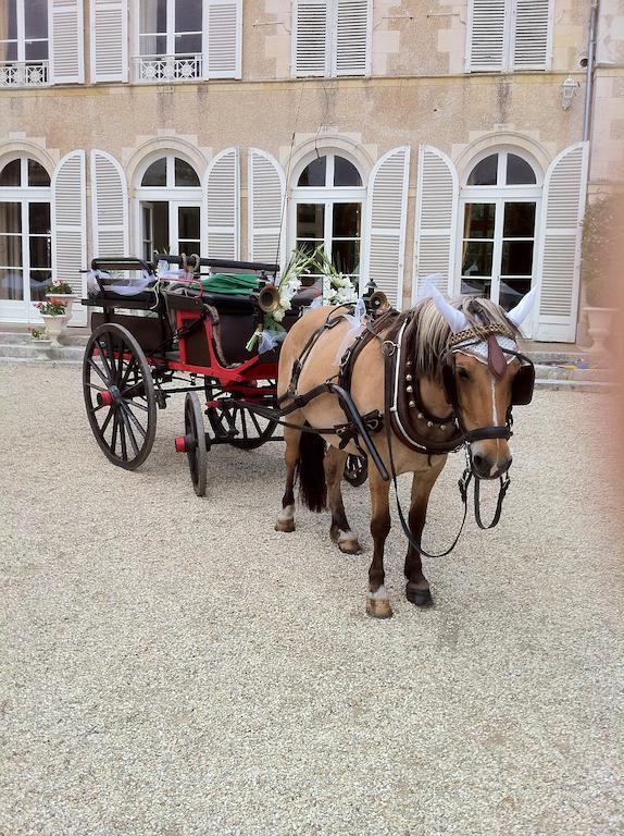 Chambres D'Hotes Du Chateau De Champvallins Sandillon Zewnętrze zdjęcie